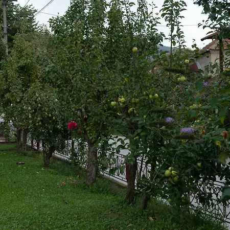 Vikend Kuca Zivkovic 데스포토바츠