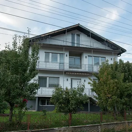 Holiday home Vikend Kuca Zivkovic Despotovac