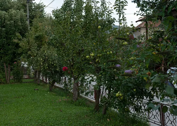 Vikend Kuca Zivkovic Despotovac