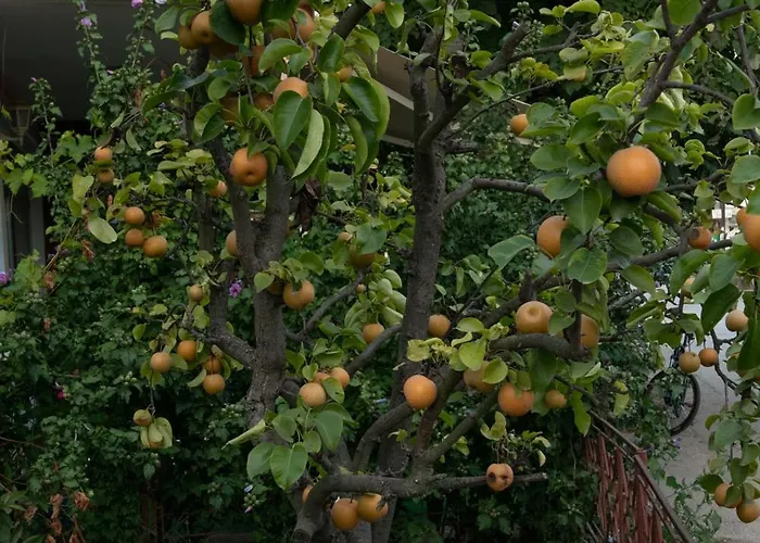 Vikend Kuca Zivkovic Despotovac