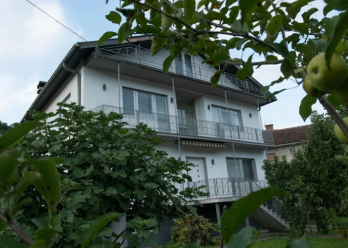 Vikend Kuca Zivkovic Despotovac