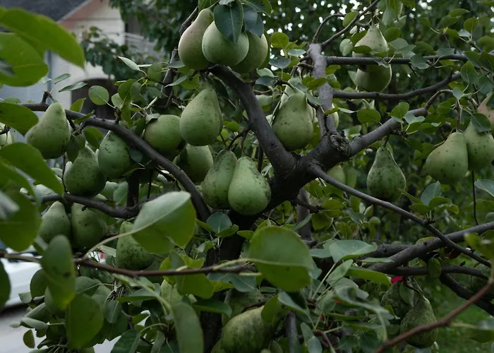 Vikend Kuca Zivkovic Сasa de vacaciones *