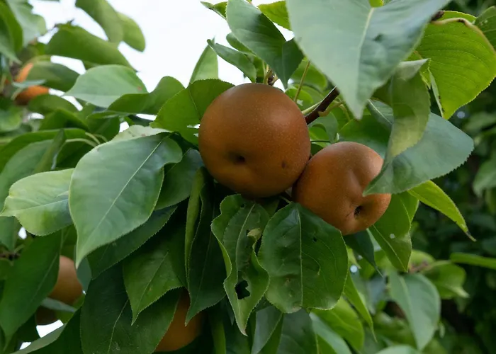 Vikend Kuca Zivkovic *